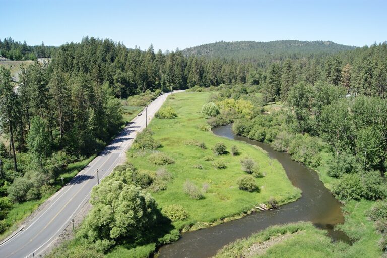The Little Spokane River near Dartford Drive